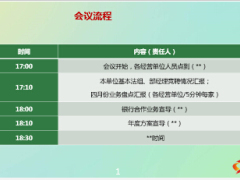 团险渠道2015年度创新项目实施方案30页.ppt