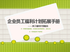 企业员工福利计划拓展手册29页.ppt