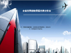 月度分析会工作回顾下阶段安排团险渠道22页.ppt