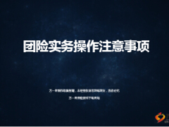 团险实务操作注意事项17页.ppt