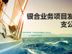 团险银合业务项目发布18页.ppt