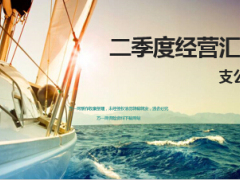 团险支公司二季度经营汇报15页.ppt
