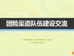 支公司团险渠道业务队伍发展情况未来发展想法29页.ppt