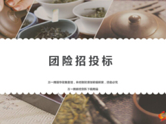 团险招投标流程投标书制作讲解25页.ppt