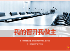 我的晋升我做主优秀团险客户经理分享30页.ppt