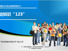 企业年金业务系列培训基础知识11页.ppt