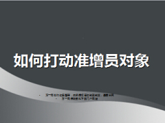 保險(xiǎn)業(yè)組織發(fā)展如何打動(dòng)準(zhǔn)增員對(duì)象30頁(yè).ppt