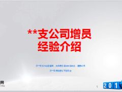 中支組織隊(duì)伍增員經(jīng)驗(yàn)介紹分享11頁(yè).ppt