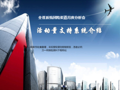 活动量支持系统介绍17页团险渠道.ppt