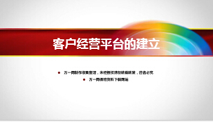 客户经营平台的建立团险渠道10页.ppt