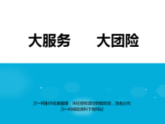 团险大服务内容认识10页.ppt