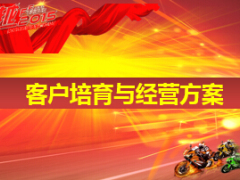 团险客户2015年二季度培育与经营方案10页.ppt
