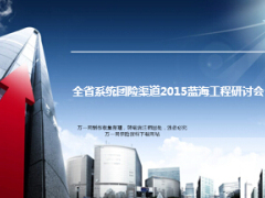 2014年团险渠道蓝海工程项目分析及2015年发展规划15页.ppt