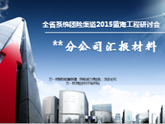 2015团险渠道汇报材料大病补充保险18页.ppt