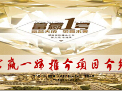 富德生命富赢一号推介项目推动21页.ppt