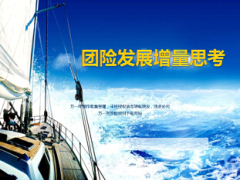 团体保险业务发展情况总体情况及展望33页.ppt