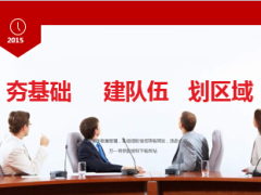 团险队伍建设情况思考具体做法11页.ppt