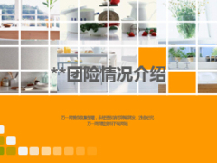 团险支公司情况介绍汇报21页.ppt