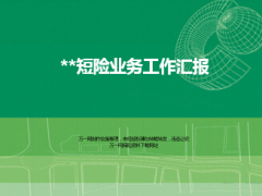团险短险半年业务工作汇报发展主要举措15页.ppt