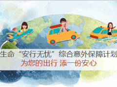 生命人寿安行无忧特色介绍责任解析25页.ppt