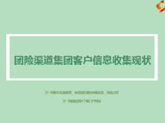 团险渠道集团客户收集信息现状报告7页.ppt