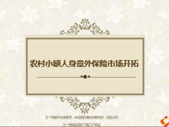 农村小额人身意外保险市场开拓背景现状推广29页.ppt