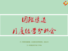 渠道月度经营分析会模板团险31页.ppt