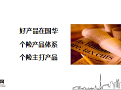 国华个险渠道产品体系介绍25页.ppt