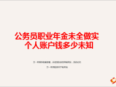 公务员职业年金未全做实个人账户钱多少28页.ppt