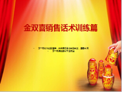 国华金双喜保险销售话术分享16页.ppt