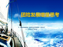 团体保险增量思考政保业务渠道业务44页.ppt