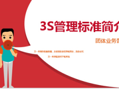 团体业务部3S管理标准简介22页.ppt