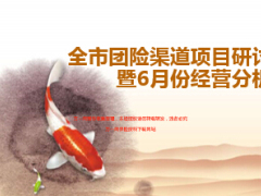 团险渠道项目研讨会暨6月份经营分析会38页.ppt