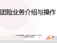 团险业务介绍与操作72页.ppt