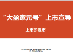 合众大盈家元号两全保险宣导片66页.ppt