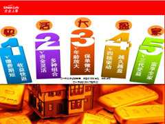 合众大盈家两全保险 利益宣导32页.ppt