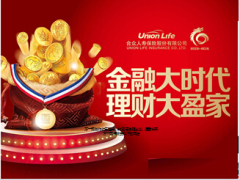 合众人寿金融大时代理财大赢家两全保险宣导29页.ppt