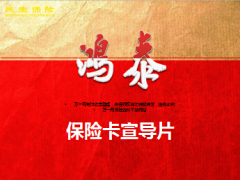 民生人寿鸿泰保险卡产品宣导及实战运用28页.ppt