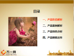民生人寿富贵鑫裕双尊版产品形态案例特色销售39页.ppt