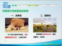 民生人寿如意随行百万保驾特色亮点18页.ppt