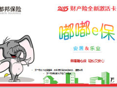 都邦保险嘟嘟e保财产险全新激活卡安居系列24页.ppt