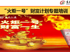 东吴火炬一号财富计划产品介绍51页.ppt