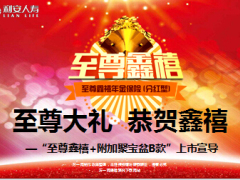 利安至尊鑫禧年金保险附加聚宝盆B款上市宣导45页.ppt