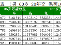 国寿瑞鑫两全保险 典藏版自动版计划书速查表.xlsm