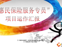汇报材料惠民保险服务专员项目运作19页.ppt
