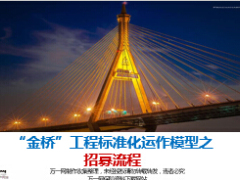 惠民保险工程标准化运作模型之招募流程金桥工程40页.ppt