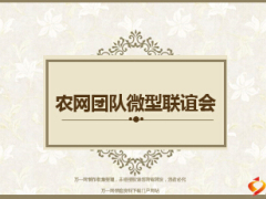 微型联谊会农网团队介绍操作指南含备注36页.ppt