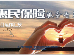 惠民保险服务专员项目运作汇报53页.ppt