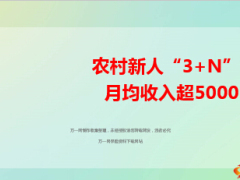 农村新人3加N月收入超五千分享52页.ppt
