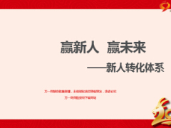 推動新人生長鏈運作助力新人開單25頁.ppt